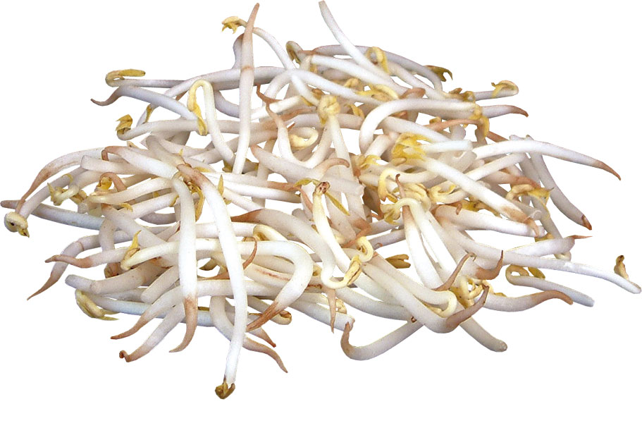 beansprouts.jpg