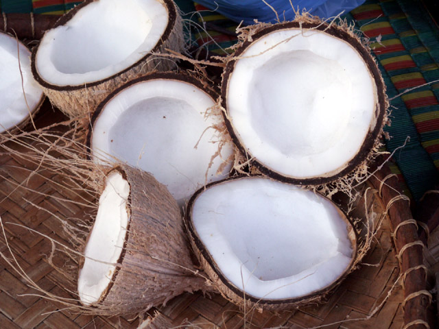 coconutmeat.jpg