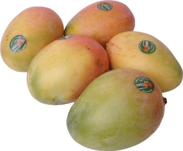 fresh-sweet-mango-keith5-12pcs.jpg