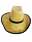 00160353: Wireless bark cowboy hat
