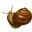 07630004: 蜗牛肉 1kg
