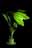 09120030: Lampe de table fleur céréales