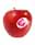 09135919: 智利玫瑰色女士苹果 170/220 C1