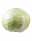 09133971: White Cabbage France x6 1pc
