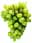 09134823: White Grape Italia Victoria 5kg C1 IT 1kg