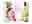 09136403: Glace Minicup Duo Vanilla Crunch Collection Häagen-Dazs 4x95ml 380ml