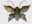 22221533: Fermeture papillon en laiton
