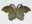 22221534: Fermeture papillon en laiton