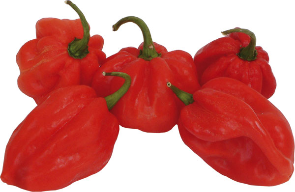 hot-pepper-cayenne-red.jpg