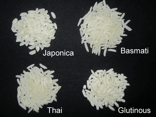 riz-rond-basmati-thai-gluant.png